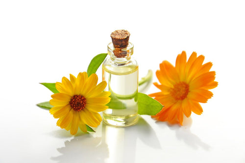 A small glass bottle with cork, with two brightly colored flowers and their leaves surrounding it