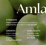 Load image into Gallery viewer, Fortifying hair serum gold bottle organic natural vegan hair growth healthy hair
