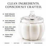 Load image into Gallery viewer, A clear pumpkin shaped candle jar with a matching glass lid, shown on a white background with marketing text about organic coconut wax, essential oils, and clean ingredients.
