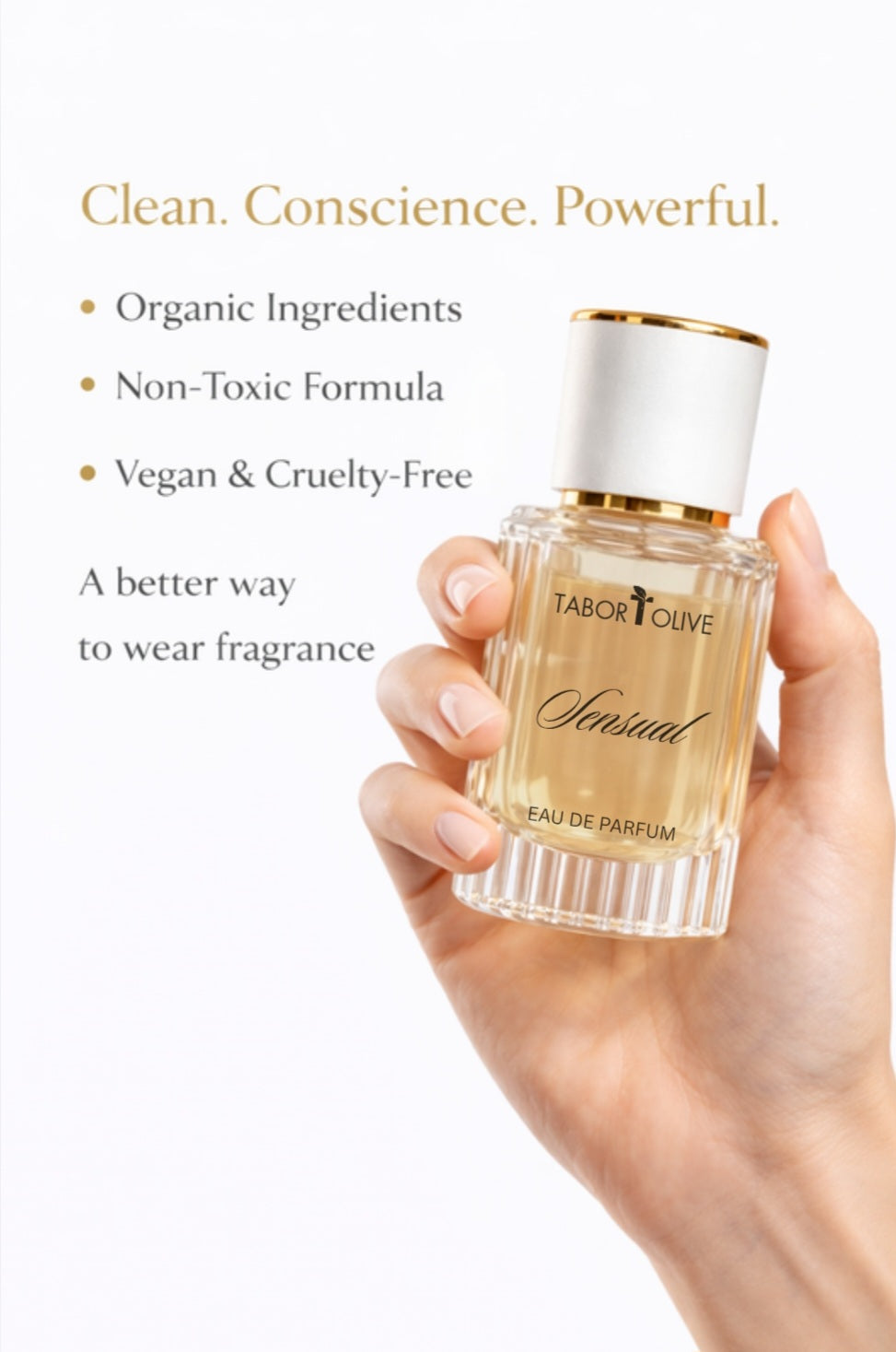 Non Toxic Perfume | Chemical & Paraben Free | Tabor + Olive